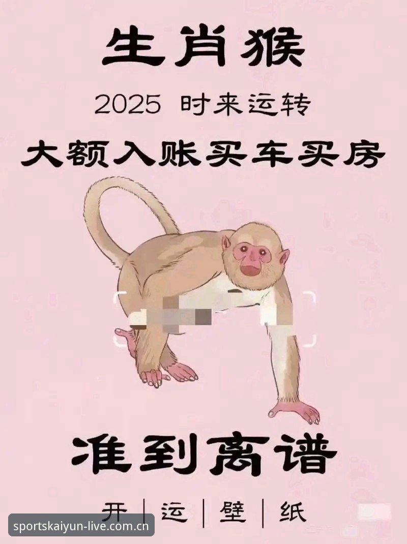 kaiyun体育官方入口地址功能详解：2025年深度评测与使用体验报告